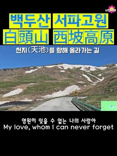 백두산 서파고원.백두산 여행.백두산 서파코스.노랑 만병초가 가득 #travel #여행 #중국#백두산