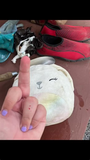 Creaciones Artísticas de Lozyfoxyreal