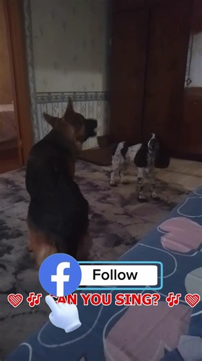 WHO CAN SING LIKE THIS? 🎶❤️