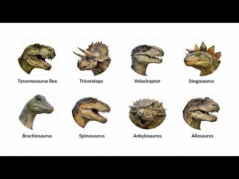 Every Type of Dinosaurs Explained in 30 mins