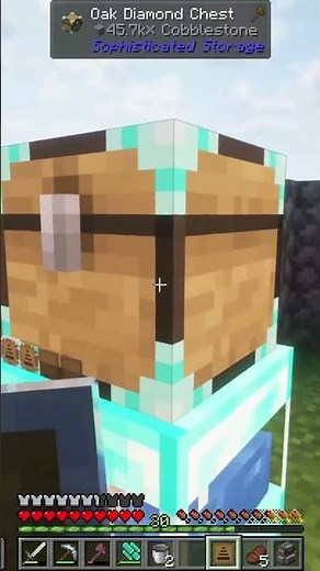 The BEST Chest Mod in All The Mods 9 To The Sky!!!