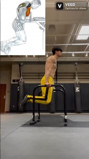 The Benefits Of Dips