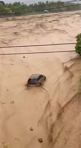 Flood! Car Swept Away by Powerful River Current #omg #shorts #viral