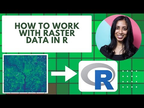 How to work with RASTER DATA in R