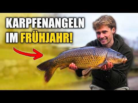 Carp fishing in spring - Here's what you should know!