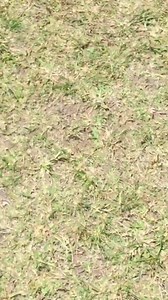 22 reactions · 3 comments | Model Aeronautical Association Australia on Reels | Facebook