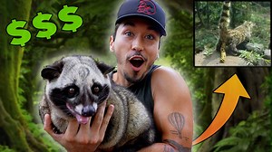 POOP COFFEE - Taste Test (WORLDS MOST EXPENSIVE COFFEE) | Brennen Taylor