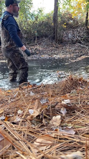 At NC Upland On Point putting in a beaver set. Trying out SheTraps “The Tease”. If you are looking for a place in Pitt County NC that you can shoot ducks, quail, pheasants and also shoot out to 1000 yards all while stocking up on hunting supplies, this is the place. #trapping #beavertrapping #duckhunting #quailhunting #longrangeshooting | S&K Trapping & Fur | Facebook
