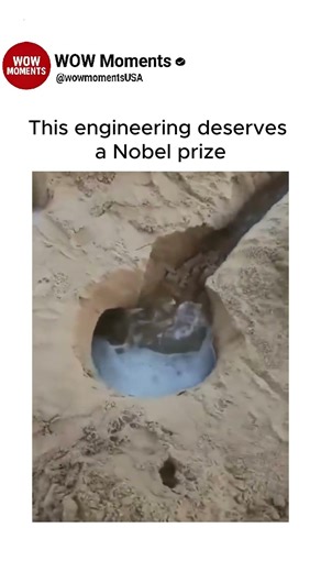 This engineering deserves a Nobel prize