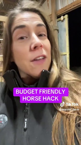 Budget Friendly Horse Care Tips for Winter