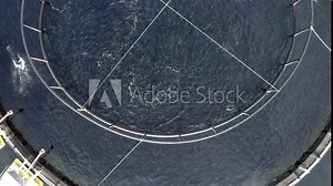 Bird's Eye View of an Cod and Pollock Aquaculture Fish Farm