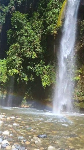 Madre naturaleza. Cataratas Río Derrepente #tingomaria #cataratas #tour #fiestaspatrias #aventura