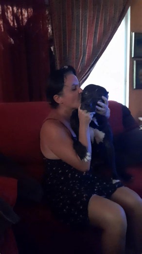 1.4K views · 20 reactions | Pitbulls do need so much the physical contact with their human...he's crazy for these moments of love bites  ~He lived chained up all day long, waiting to become a fighting dog. This is his second chance in life ❣️~ #dogs #dogslover #dogslife #pitbull #pitbullsjustwanttobedogs | Kira the Pitbull and Mamba the stallion | Facebook
