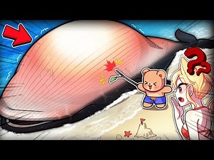 해변에서 이걸 건드렸다가… 죽을 뻔 했어요;; 이걸보면 무조건 도망치세요