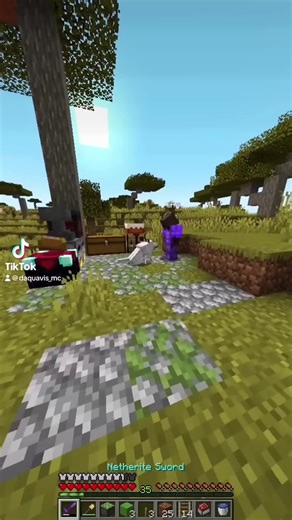 Minecraft chase 23
