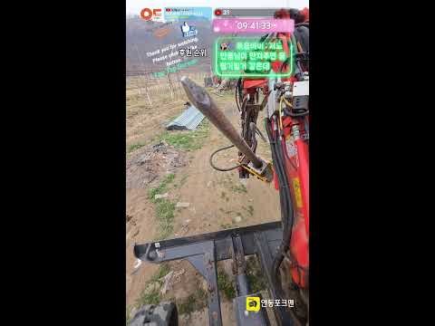 사과나무 뿌리 제거 / Let's dig up the roots of the apple tree