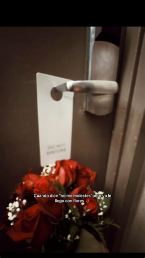 Bad Bunny: No Me Molestes, Pero Aquí Estoy Con Flores