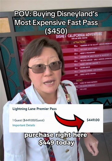 Would you pay $450 for this? #pov #disney #disneyland #adayinmylife #vlog