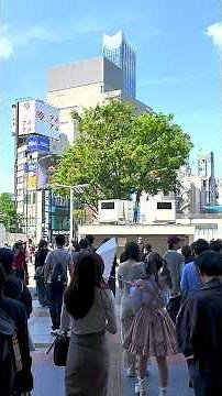 🥰A Pleasant Spring Sunday… Packed with Crowds! | Shinjuku Pedestrian Zone in Tokyo Jp 4kHDR