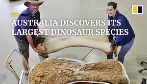 Australian scientists discover one of the world’s largest dinosaur species