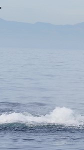 526K views · 10K reactions | What a way to spend our last trip before...