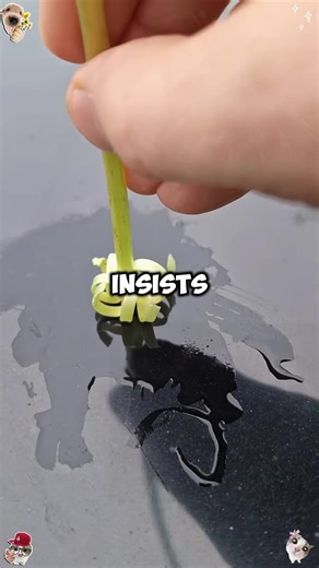 Drama Keluarga: Video Recital dan Hubungan Perceraian