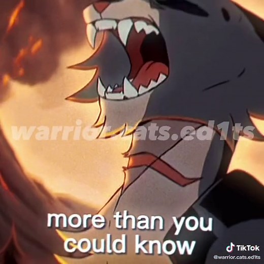 Epic Warrior Cats Song Edit