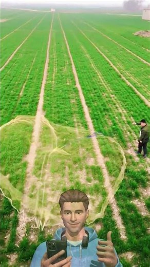 Outdoor net casting practice