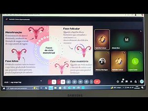 Sistema reprodutor humano masculino e feminino