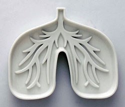Lung ashtray for fatalistic smokers