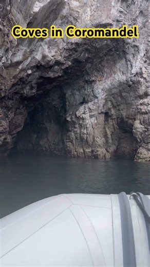 Boat Rides Through Hidden Coves | Coromandel Peninsula 🇳🇿 #explorenz #nztravel #travel #trending