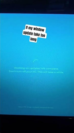 if the windows update takes too long