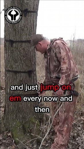 Tree Steps Left 6 Years on a Tree