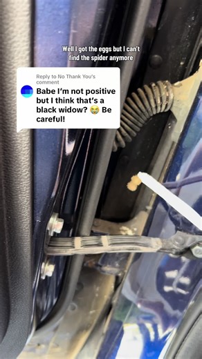 Replying to @No Thank You I’ll have to wait for her to come back out tomorrow I guess 😀