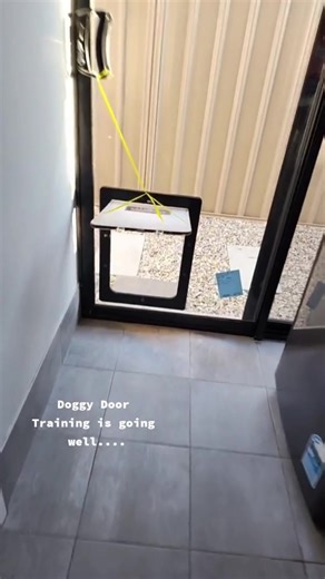 Teaching Dogs to Use the Dog Gate