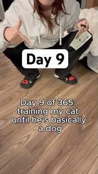 Day 9 of 365: training my cat until he’s basically a dog