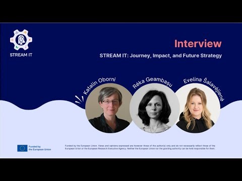 STREAM IT: Journey, Impact, and Future Strategy