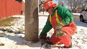 Pole Repair
