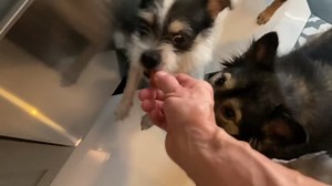 Taz Colomb on Instagram