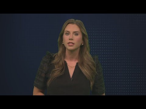 The Breakdown: Immigration Poll reveals public opinion of Border Patrol operations