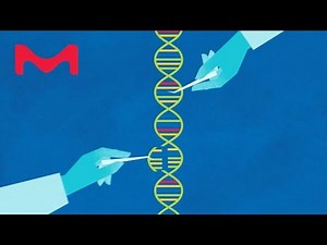 Gene Editing Solutions for Research Applications