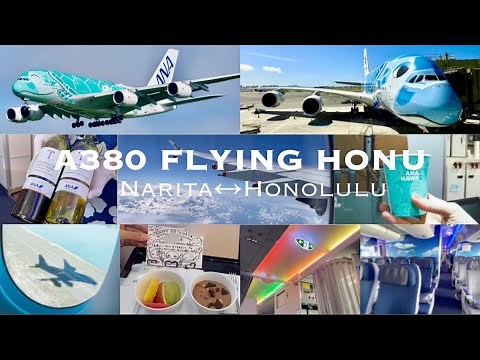 エコノミークラスでも最高のおもてなし🌼最大旅客機ANA FLYING HONU A380フライングホヌ搭乗記｜2023Narita↔︎Honolulu【NH184】ゆったり快適な空の旅｜機内食｜往復