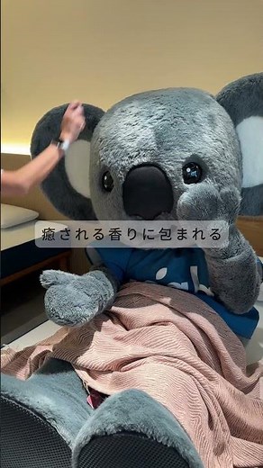 眠れない時試してみて！【Kokoちゃんが実践！眠くなる方法10選】 #コアラマットレス #眠くなる方法 #眠れない #koko