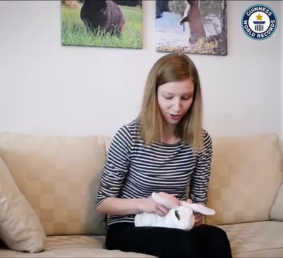 222K views · 857 shares | Meet tricksy Taawi and his trainer Aino Kivikallio from Finland . "He is the most active and energetic rabbit I have ever seen," | Guinness World Records | Facebook