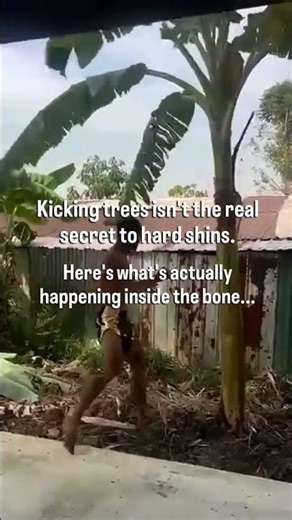 The Real Secret To Hard Shins In Muay Thai