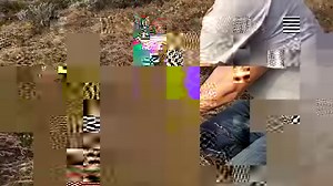 9.4K views · 251 reactions | The island spotted skunk is endemic to...