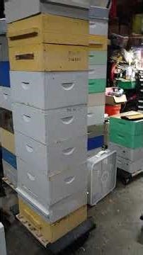 Treating drawn bee hive frames for wax moths