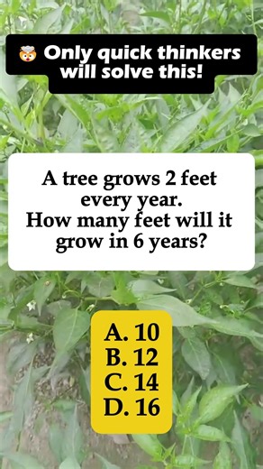 Can You Solve This Tree Math Riddle? 🌳🧠 | Quick IQ Test Challenge #shorts #iqvistax #brainteaser