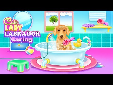 Cute Lady Labrador Caring