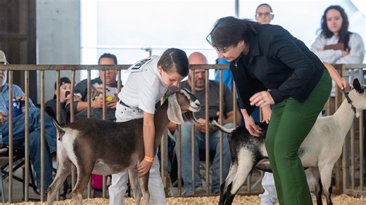 A world behind the rides: a look into the MS State Fair goat shows